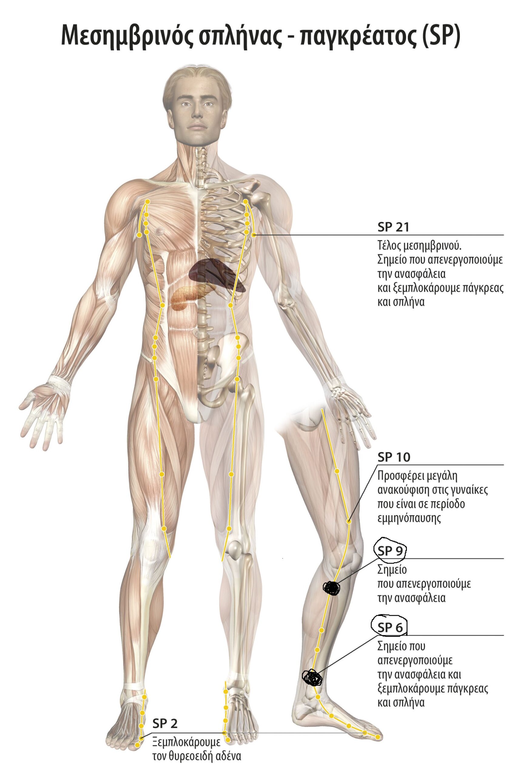 Εναλλακτικοί τρόποι και διατροφή για αυτοθεραπεία από προστατίτιδα και διόγκωση του προστάτη. 4 Εναλλακτικοί τρόποι και διατροφή για αυτοθεραπεία από προστατίτιδα και διόγκωση του προστάτη. 4
