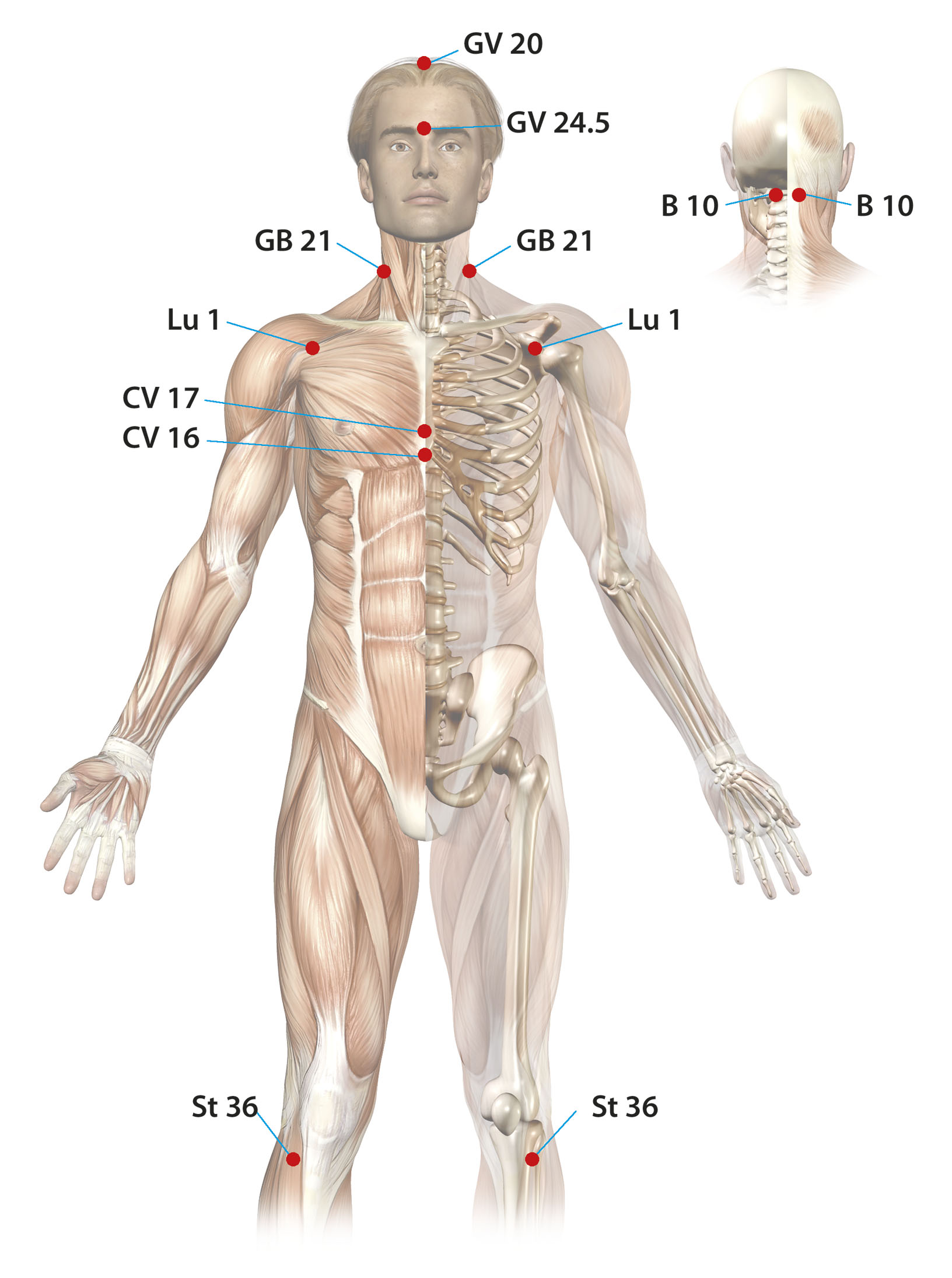 Αυτοθεραπεία  από κρίσεις πανικού, αυπνία, κατάθλιψη και δυσκολία στο βάδισμα. 4 Αυτοθεραπεία  από κρίσεις πανικού, αυπνία, κατάθλιψη και δυσκολία στο βάδισμα. 2