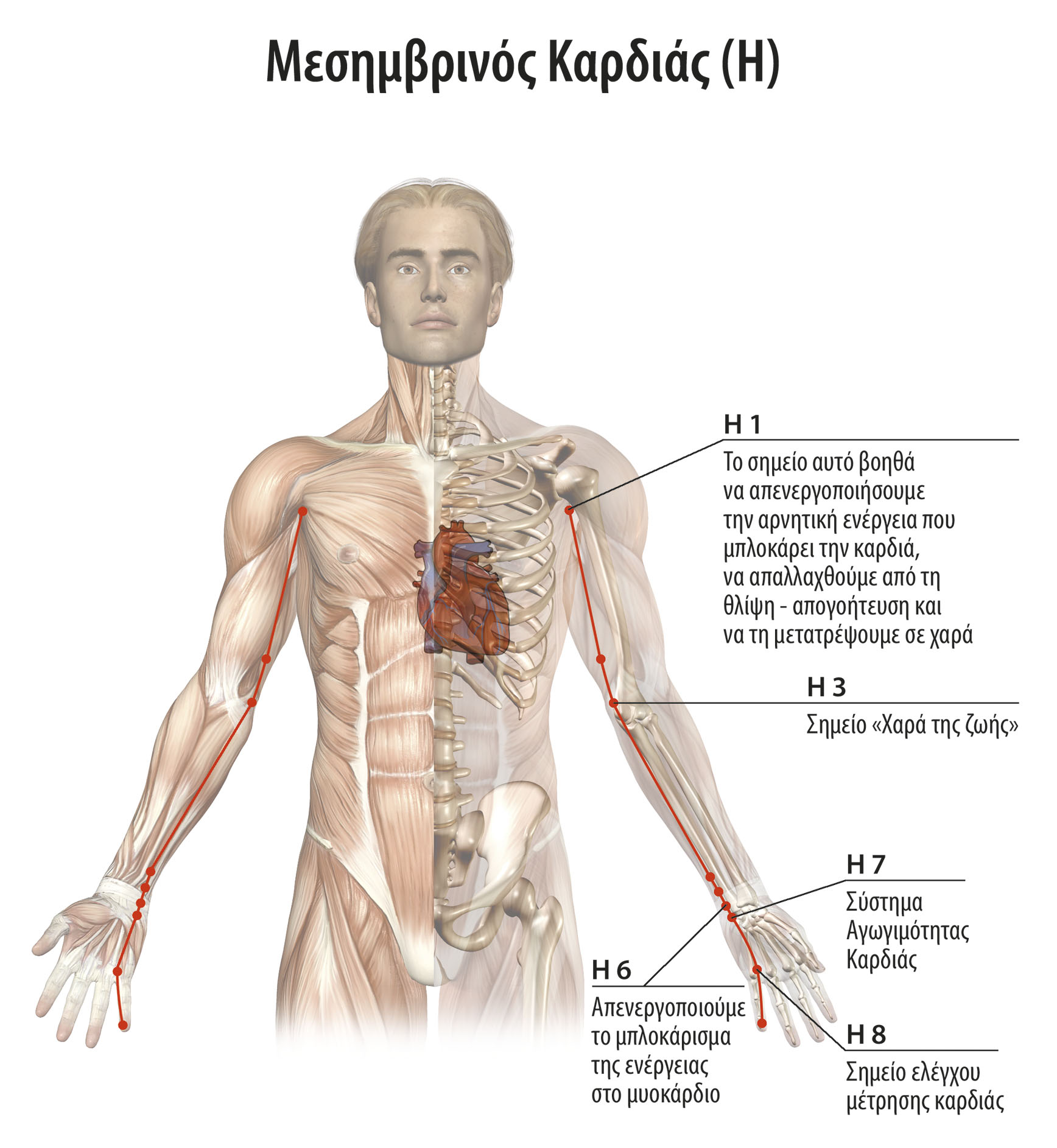 Πως αυτοθεραπευτηκα απο την Σκλήρυνση Κατά Πλάκας. 5