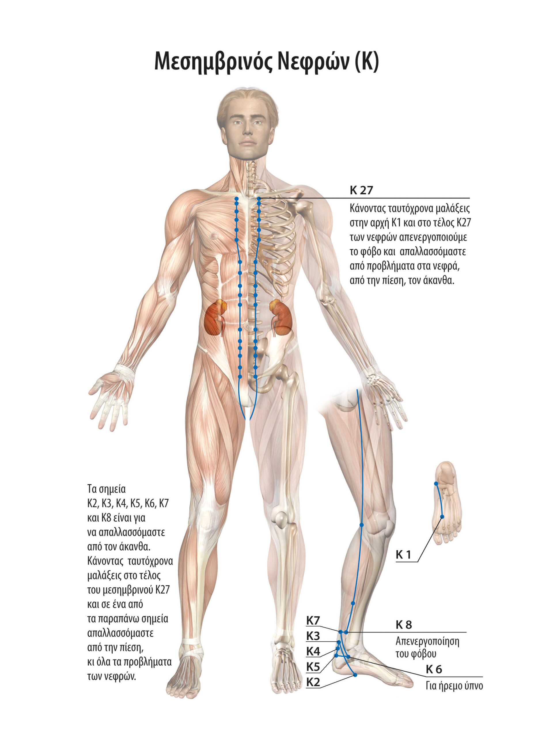 Self-medication of constipation, from thorns, neck problems, the waist and knees unblocking the corresponding energy meridians. 5 Αυτοθεραπεία από δυσκοιλιότητα, από άκανθα, προβλήματα στον αυχένα, τη μέση και τα γόνατα ξεμπλοκάρoντας τους αντίστοιχους ενεργειακούς μεσημβρινούς. 4