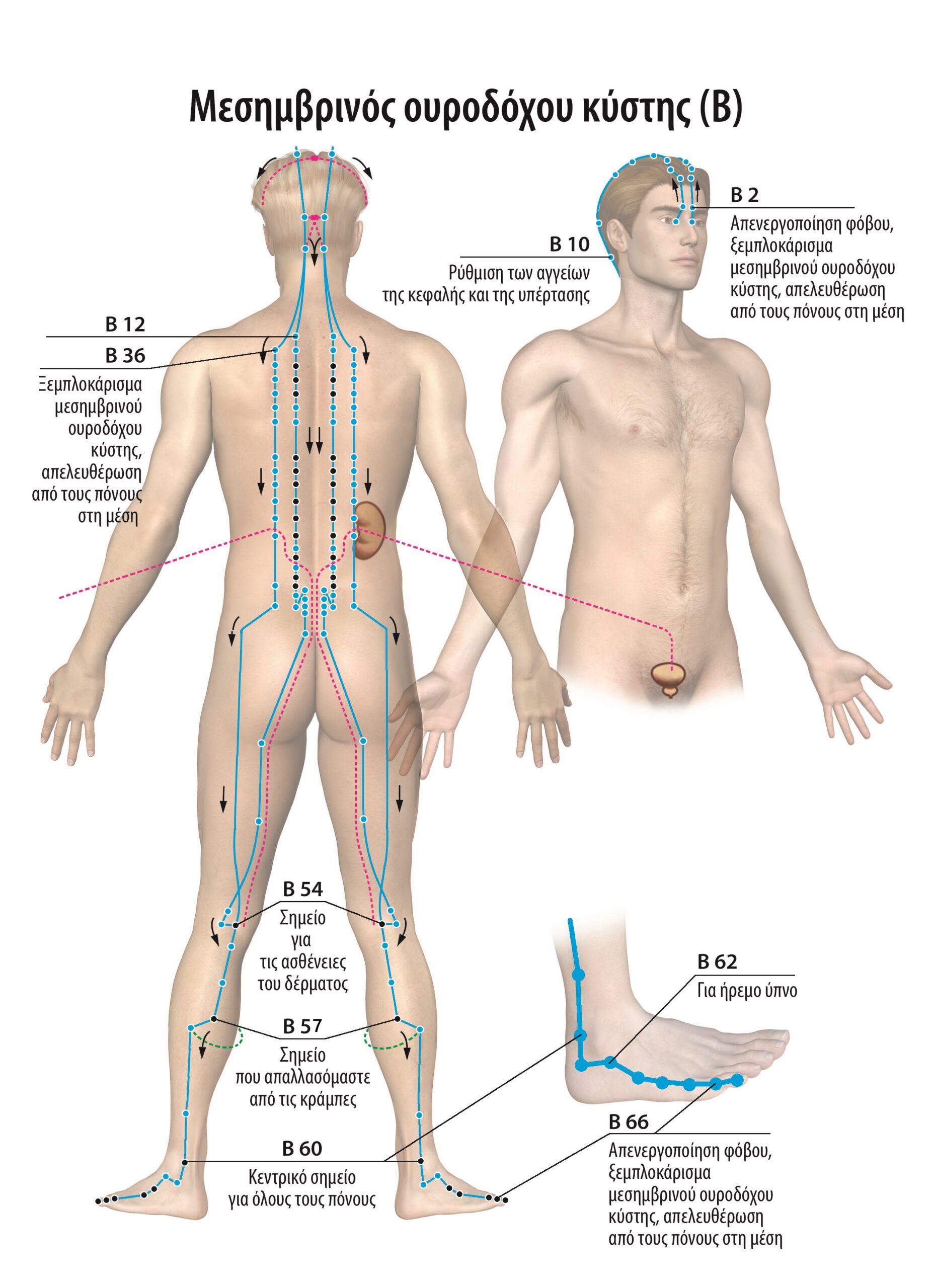 Αυτοθεραπεία από χρόνια μερική ρήξη υπερακανθίου, χρόνιους πόνους στη μέση και στον αυχένα, προβλήματα στο στομάχι - γαστροοισοφαγική παλινδρόμηση και σπαστική κολίτιδα, από κύστη κατω από το γόνατο. 3