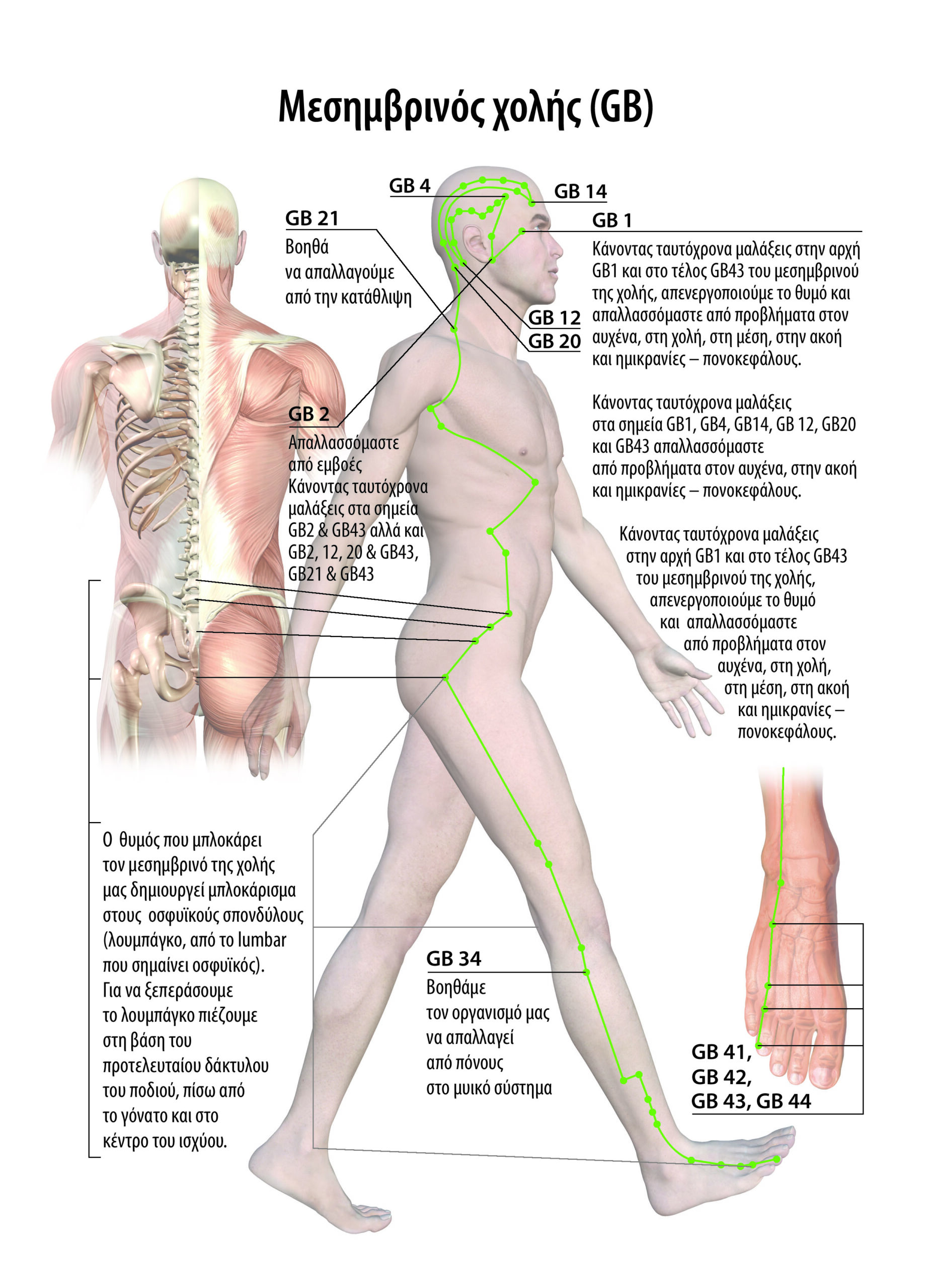 Self-medication from tinnitus, hernias in the neck, scoliosis, hernias in the middle, stomach problems and gastroesophageal reflux. 5 Αυτοθεραπεία από εμβοές στα αυτιά, κήλες στον αυχένα, σκολίωση, κήλες στη μέση, προβλήματα στο στομάχι και γαστροισοφαγική παλινδρόμηση. 5