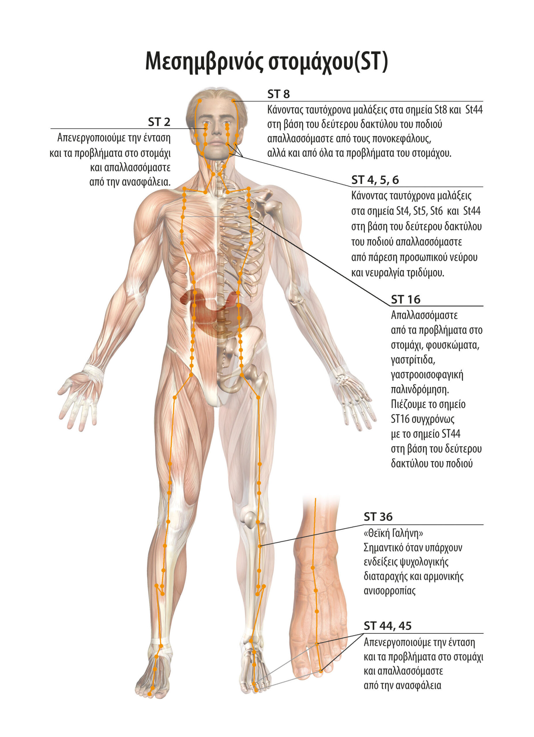 Self-medication from tinnitus, hernias in the neck, scoliosis, hernias in the middle, stomach problems and gastroesophageal reflux. 10 Αυτοθεραπεία από εμβοές στα αυτιά, κήλες στον αυχένα, σκολίωση, κήλες στη μέση, προβλήματα στο στομάχι και γαστροισοφαγική παλινδρόμηση. 10