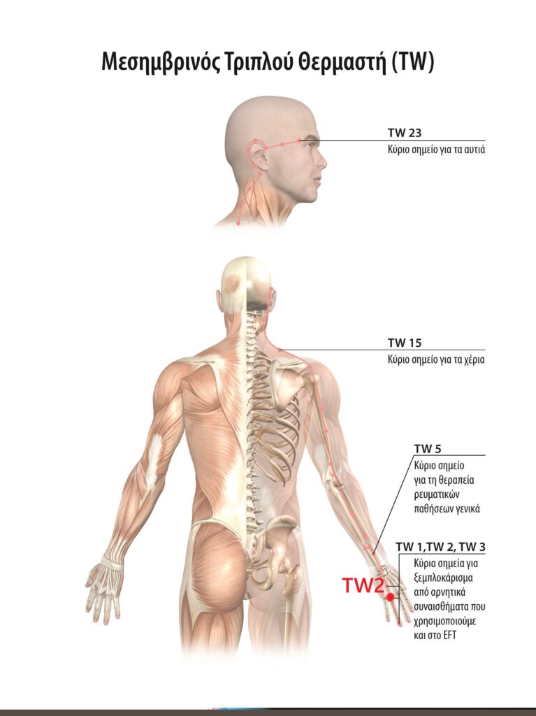 Self-medication from tinnitus, hernias in the neck, scoliosis, hernias in the middle, stomach problems and gastroesophageal reflux. 4 Αυτοθεραπεία από εμβοές στα αυτιά, κήλες στον αυχένα, σκολίωση, κήλες στη μέση, προβλήματα στο στομάχι και γαστροισοφαγική παλινδρόμηση. 4