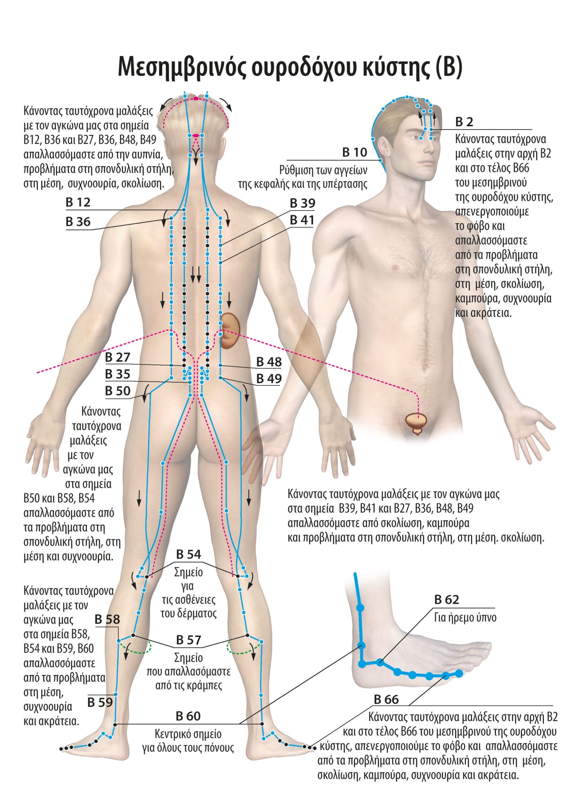 Self-medication from tinnitus, hernias in the neck, scoliosis, hernias in the middle, stomach problems and gastroesophageal reflux. 8 Αυτοθεραπεία από εμβοές στα αυτιά, κήλες στον αυχένα, σκολίωση, κήλες στη μέση, προβλήματα στο στομάχι και γαστροισοφαγική παλινδρόμηση. 8