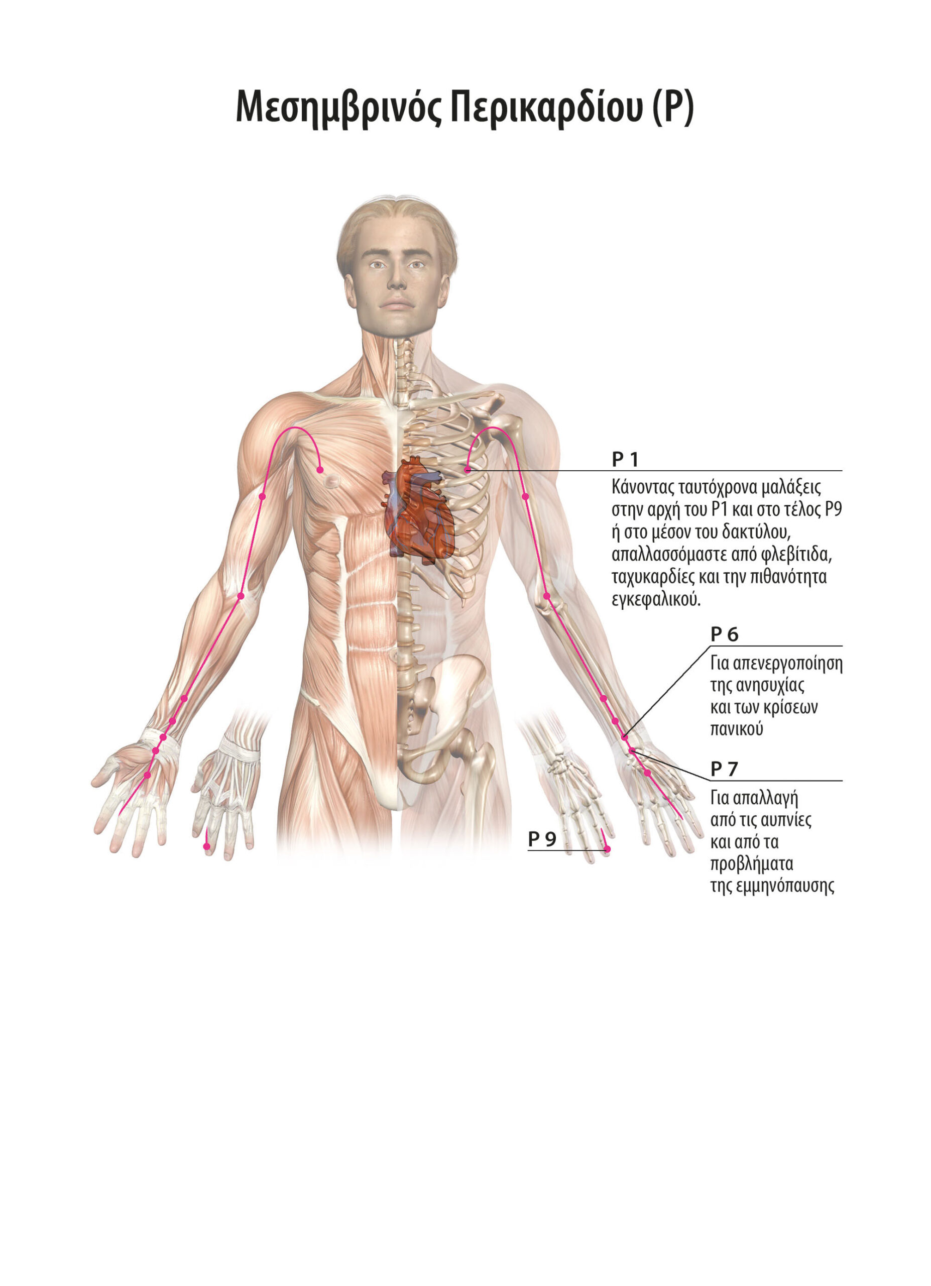 Self-Healing from grief, asthma, insomnia, Acute back pain in middle and incontinence, neck, Hashimoto's thyroiditis, panic attacks, tachycardia unblocking the government meridian, the meridian of the lung, the meridian of the bladder, bile, of the Supreme, of the spleen bench and pericardium 6 Αυτοθεραπεία από θλίψη, άσθμα, αυπνία, οξύα οσφυαλγία στη μέση και ακράτεια, αυχενικό, θυρεοειδίτιδα χασιμότο, κρίσεις πανικού, ταχυκαρδία ξεμπλοκαροντας τον κυβερνητικό μεσημβρινό, το μεσημβρινό του πνέυμωνα, το μεσημβρινό της ουροδόχου κύστης, της χολής, του υπάτος, της σπλήνας πάγκεας και του περικαρδίου 6