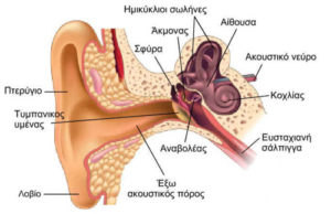Μπορούμε να απαλλαγουμε από τις εμβοές στα αυτιά, αλλά και από την πλειονότητα των προβλημάτων ακοής. 2