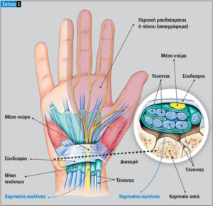 Αυτοθεραπεία από ιγμορίτιδα, τενοντίτιδα, σύνδρομο καρπιαίου σωλήνα, πόνους στα χέρια και στα δάκτυλα. 7